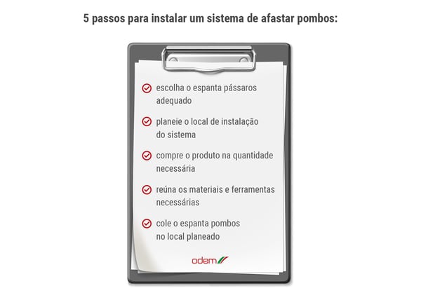 passo-a-passo-para-afastar-pombos-odem-infografico